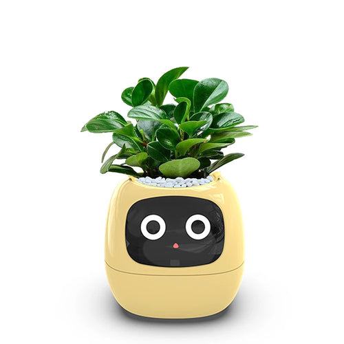 Smart Liten Blomsterpotte