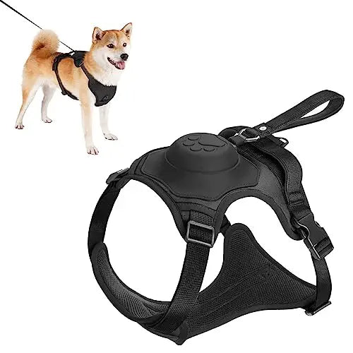 Hundehalsbånd og automatisk uttrekkbart båndsett