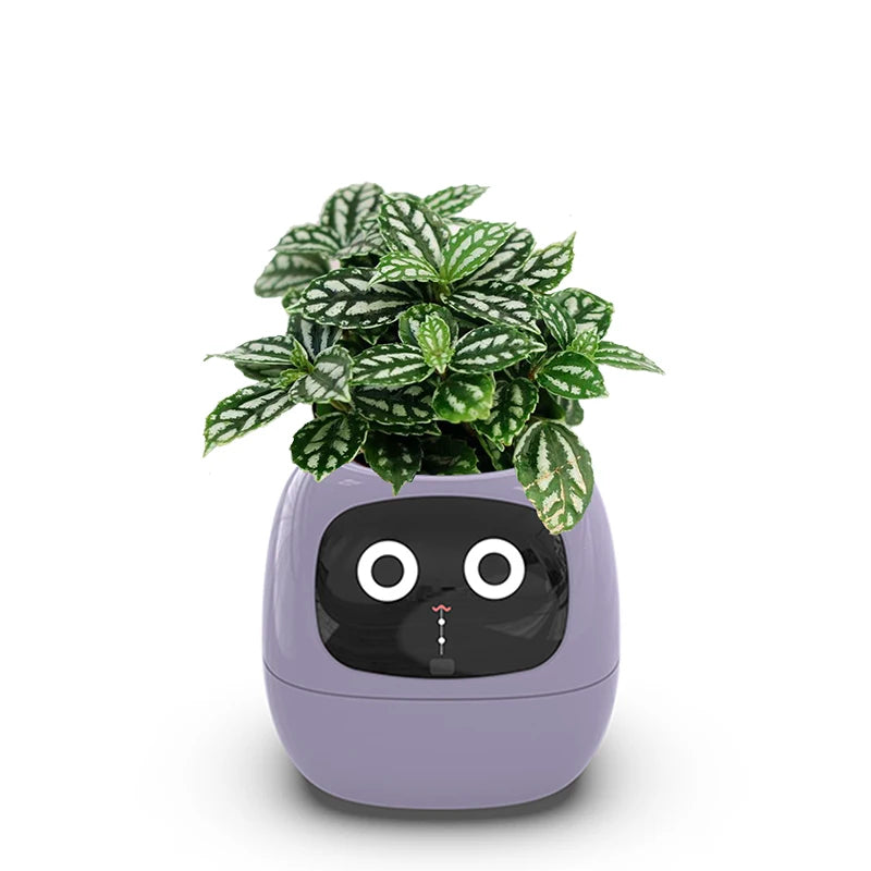 Smart Liten Blomsterpotte