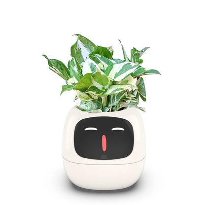 Smart Liten Blomsterpotte