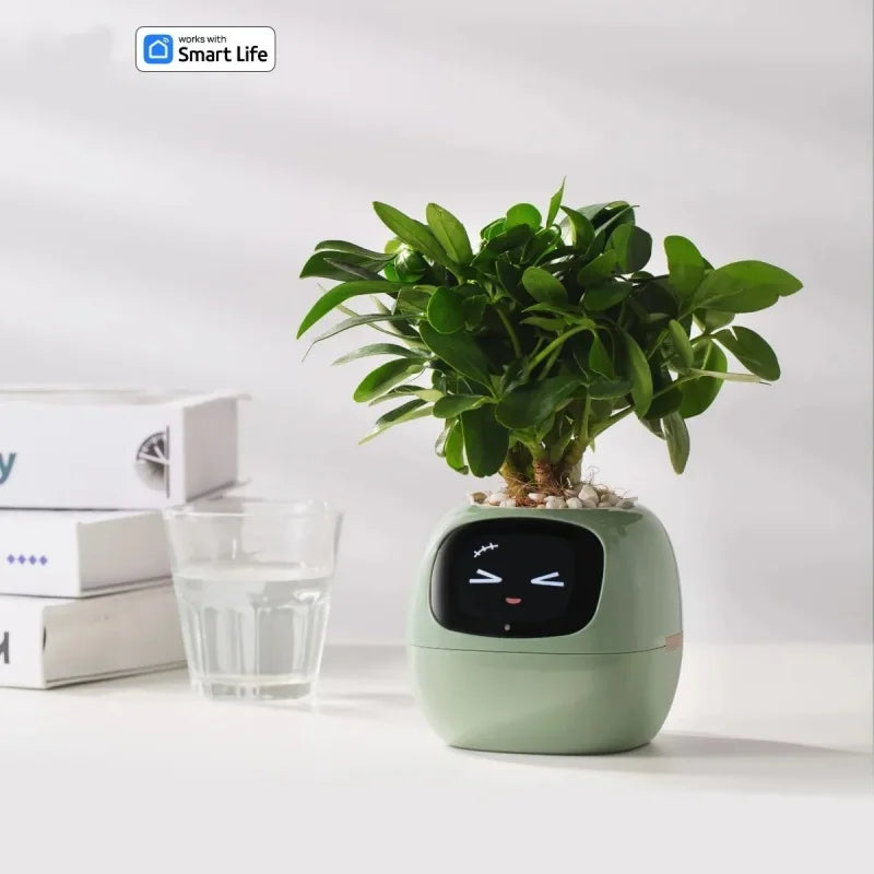 Smart Liten Blomsterpotte