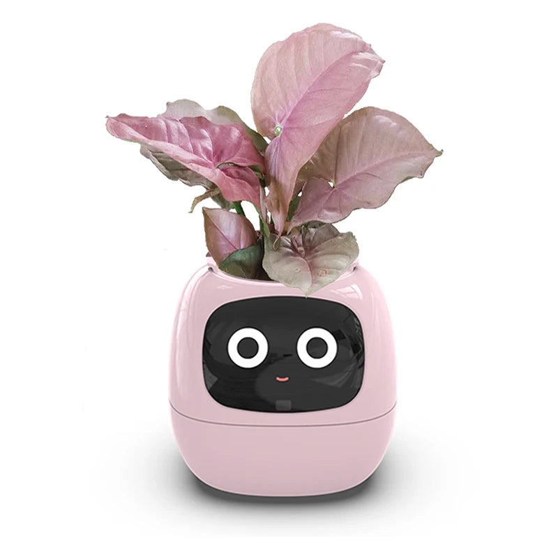 Smart Liten Blomsterpotte